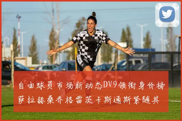 自由球员市场新动态DV9领衔身价榜萨拉赫桑乔格雷茨卡斯通斯紧随其后