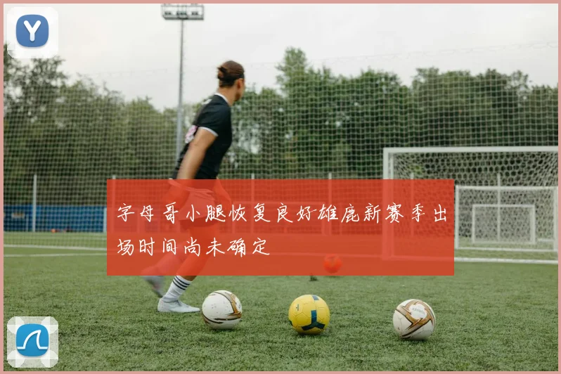 字母哥小腿恢复良好雄鹿新赛季出场时间尚未确定